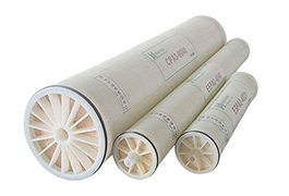 Reverse Osmosis Membrane